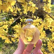 Photo by Anna Sufiskiff