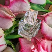 Xo2 Fragrance XO Khloé Khloé Kardashian perfume - a new fragrance for women 2024