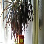 Photo by Vibia Sabina