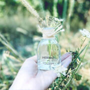Herbae L'Occitane en Provence perfume - a fragrance