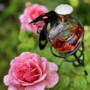 Photo by Маривиктори