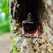 Emporio Armani Stronger With You Intensely Giorgio Armani