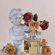 Vanitas Versace perfumy - to perfumy dla kobiet 2011