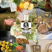 Photo by TheTeaWitch🐈⬛