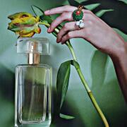Beyond Paradise Estée Lauder 香水- 一款2015年女用香水