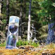 Photo by smellavision