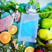 Light Blue Eau Intense Dolce&amp;Gabbana perfume - a fragrance for  women 2017