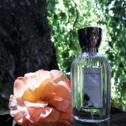 La Violette Goutal perfume - a fragrance for women 2001