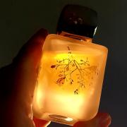 Photo by Black Falls