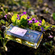 Bois de Violette Serge Lutens perfume - a fragrance for women and