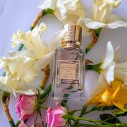 エクス 二ヒロ ラスト イン パラダイス EDP 50ML エクス二ヒロ ラストインパラダイス EDP 2ml サンプル レア 香水