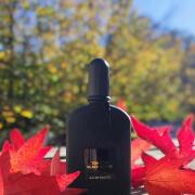 香水(ユニセックス) TOM FORD BLACK ORCHID Eau de Toilette Black Orchid Eau de Toilette | TOM FORD BEAUTY