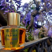 Acqua di Parma Iris Nobile Acqua di Parma parfum - un parfum de
