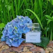 Photo by magdalena_17