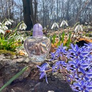 Jette Jette Joop perfume - a fragrância Feminino 2005
