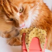 Photo by Astral_Angel