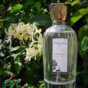 nabeel al ghadeer perfume