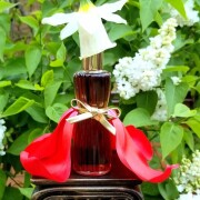 Youth-Dew Estée Lauder аромат - аромат для жінок 1953