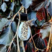 Photo by Марина Ши