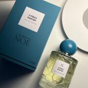 Photo by Dasha_Ulitova