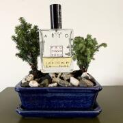 Photo by Finerthngsinlife