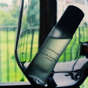 Fanfare Thameen perfume - a fragrance for women and men 2023