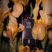 Photo by Carolina Dutca