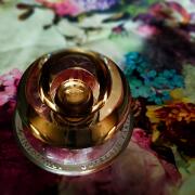 My Insolence Guerlain perfume - a fragrance for women 2007