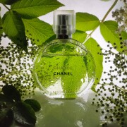 Chance Eau Fraiche Chanel perfume - a fragrance for women 2007