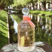 L'Initial Guerlain perfume - a fragrance for women 2020 L'Initial Guerlain perfume - a fragrance for women 2020