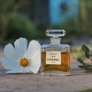 CHANEL N°5 Eau de Parfum 100ml N°5 Eau de Parfum Spray - 3.4 fl. oz. | CHANEL