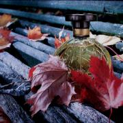 Photo by Лейка@@@