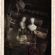 Photo by Лейка@@@