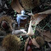 Photo by Bellaitalia68