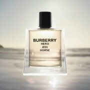 Hero Burberry コロン - 2021年の男性用 フレグランス
