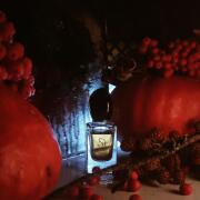 Photo by fabrice1977