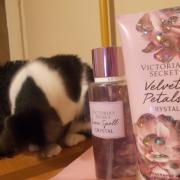 Victoria's Secret Fragrance Mist Velvet Petal 250ml/8.4 fl oz