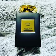 Sable Nuit Giorgio Armani perfume - a new fragrance for women and men 2021