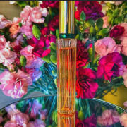 ジャン ルイ シェレル インディアンナイト 30ml ジャン ルイ シェレル インディアンナイト 30ml - メルカリ