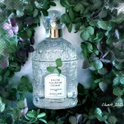 Eau de Fleurs de Cedrat Guerlain perfume - a fragrance for women