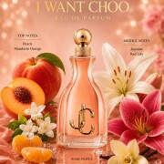 I Want Choo Jimmy Choo 香水- 一款2020年女用香水