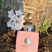 香水(女性用) AMOUAGE BLOSSOM LOVE 100ML Amouage Blossom Love Eau de Parfum voor Vrouwen | notino.nl