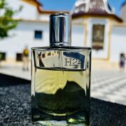 エルメス HERMES H24 EDP 100ml H24 Eau de Parfum Hermès cologne - a new fragrance for men 2022