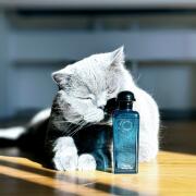 Photo by sigmaenigma