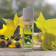Chanel N°19 Eau de Toilette (2023) Chanel perfume - a fragrance