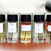 Les Ombres Fantastiques A.R. D'ORSAY 香水- 一款2020年中性香水