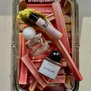 Photo by thfragrancevault