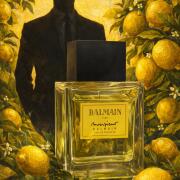 Photo by Falsterbolt