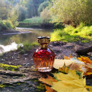 Photo by Lady Winter