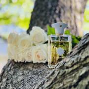 Beach Hut Man Amouage cologne - a fragrance for men 2017